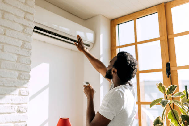 Best Geothermal HVAC Systems in Ladd, IL